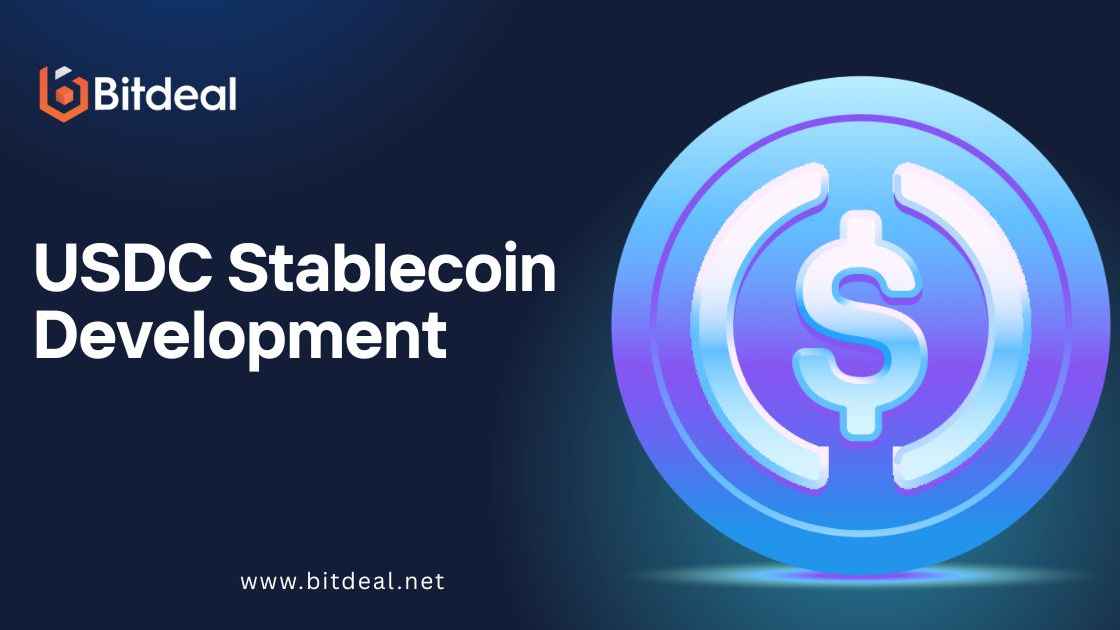 USDC Stablecoin Development Company